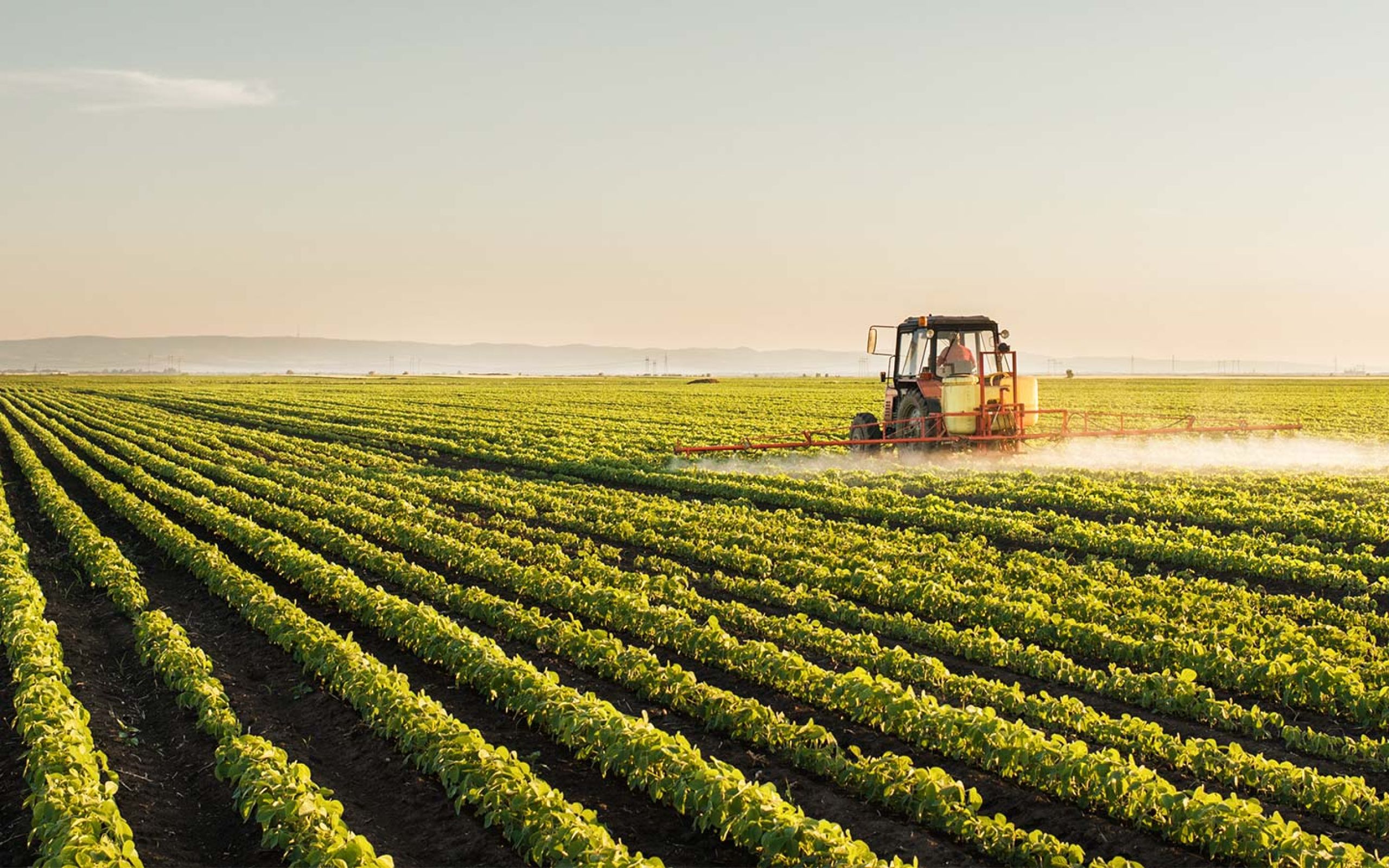 farm photo with mountain in behind